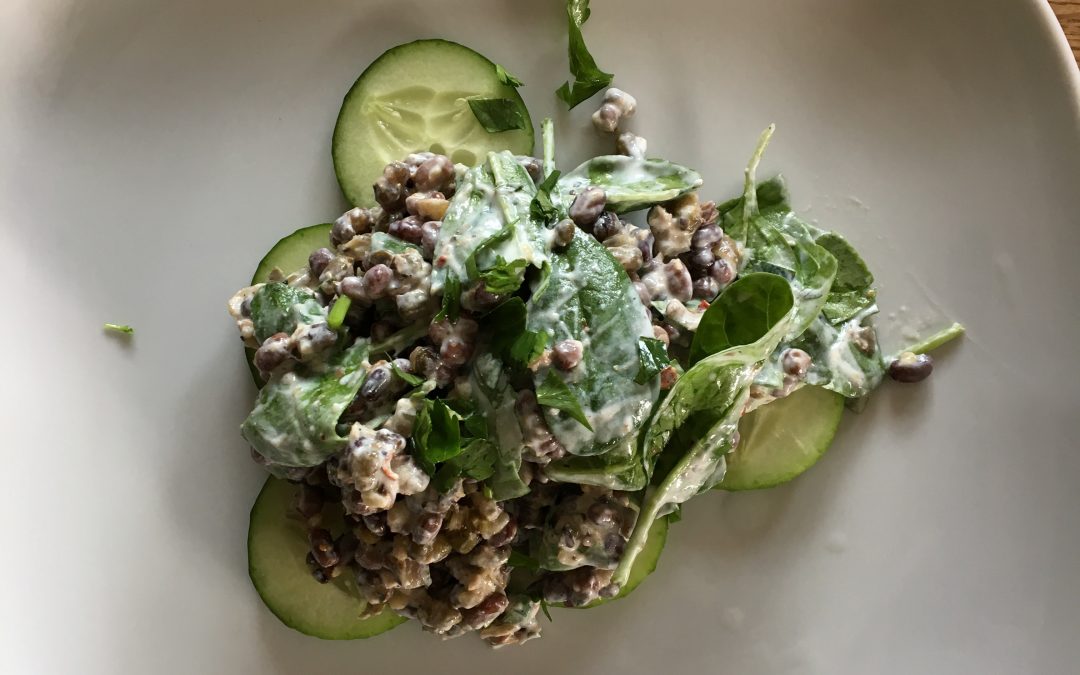 Linsensalat auf Gurken